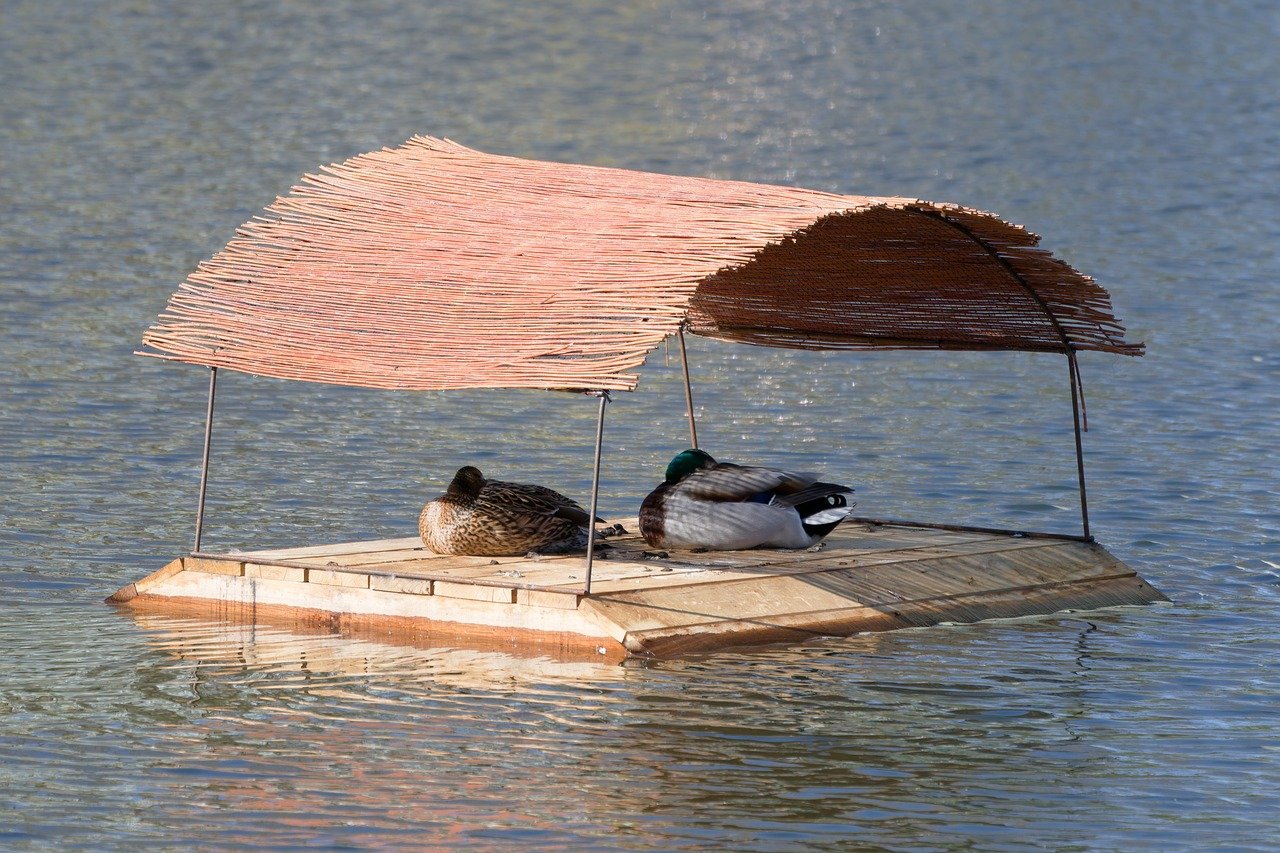 ce inseamna cand visezi vita de vie verde