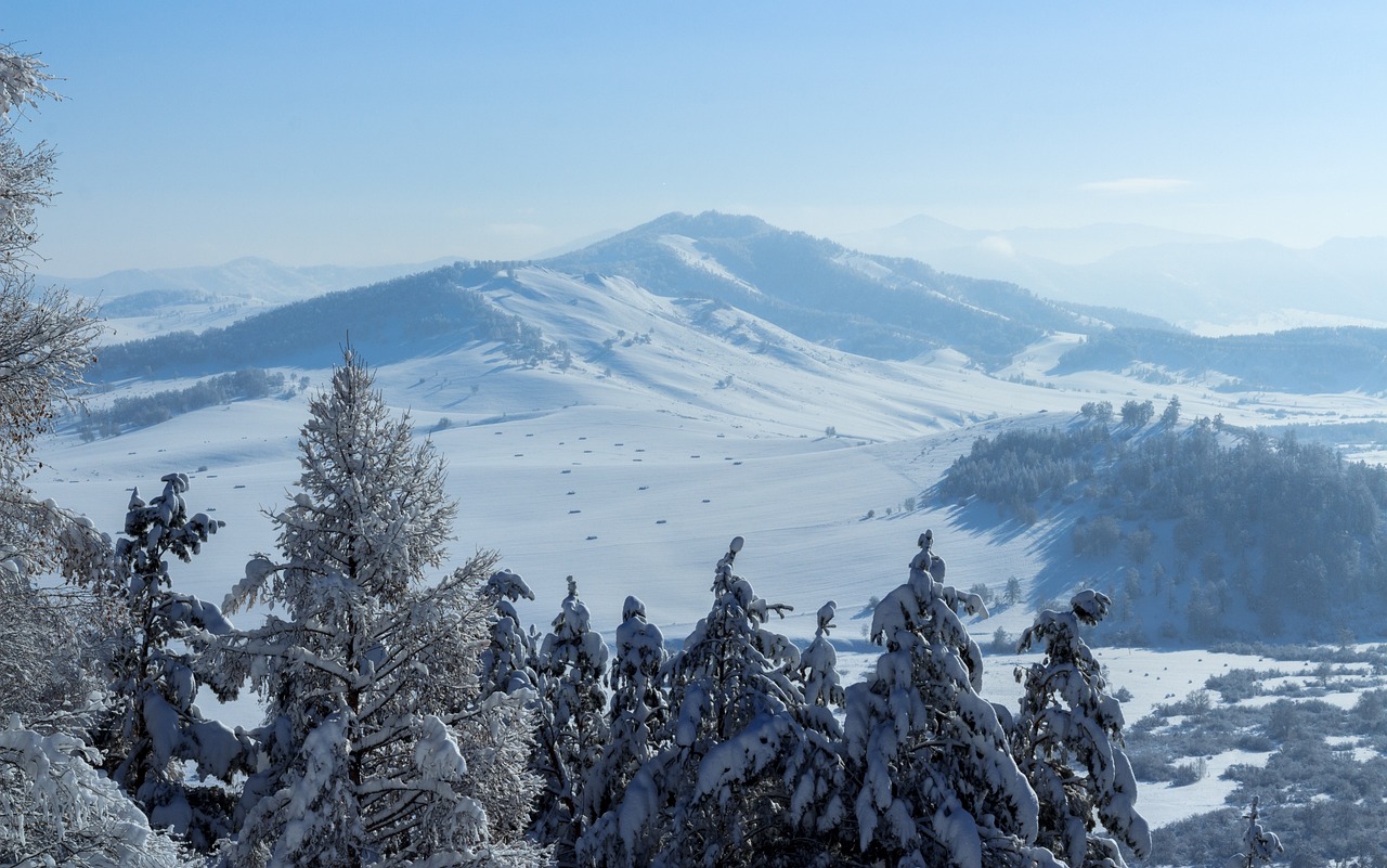 ce inaltime avea amza pellea