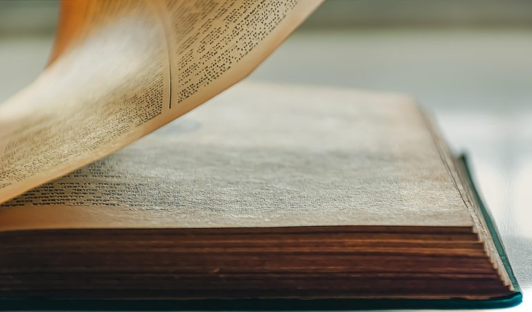 cine este zelea codreanu