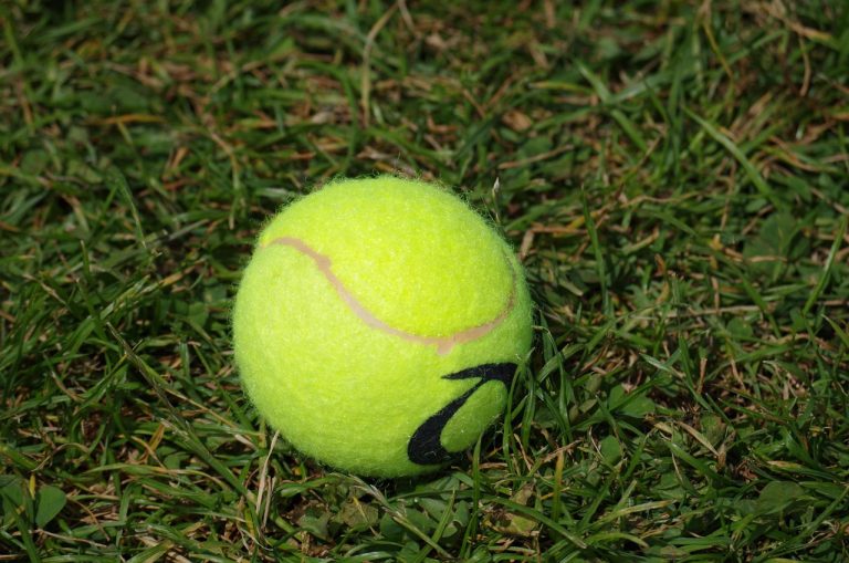 tenis miami 2019